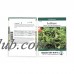 Lettuce Garden Seeds - Black Seeded Simpson - 5 Lbs - Non-GMO, Heirloom Vegetable Gardening & Microgreen Leaf Seeds   565498611